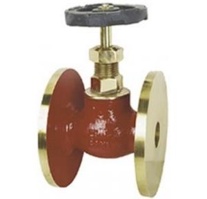 Sant Gun Metal Globe Valve Integral Seat 100 mm, IS 12